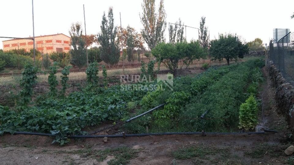 Ancestral Casa Rural con chimenea y barbacoa, en Tejeda de Tiétar - Imagen 78