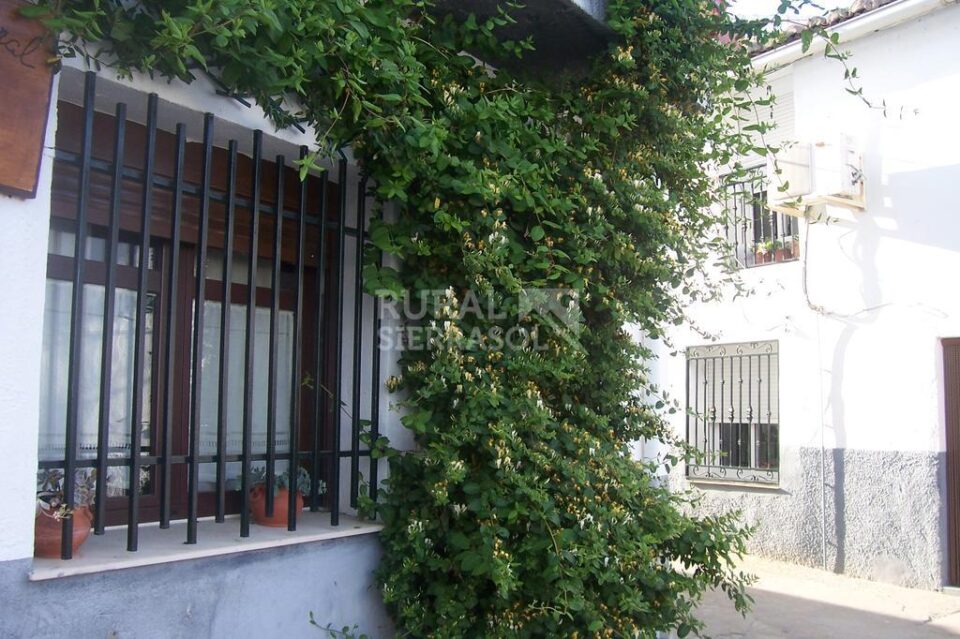 Acogedora Casa Rural en Riolobos - Imagen 61