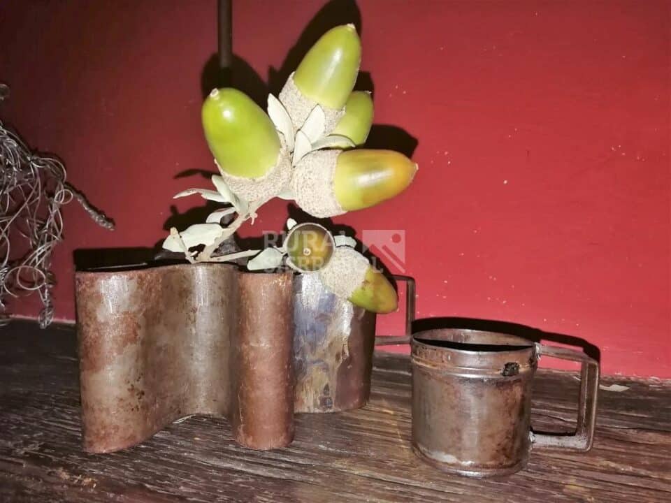 Acogedora Casa Rural en Riolobos - Imagen 64