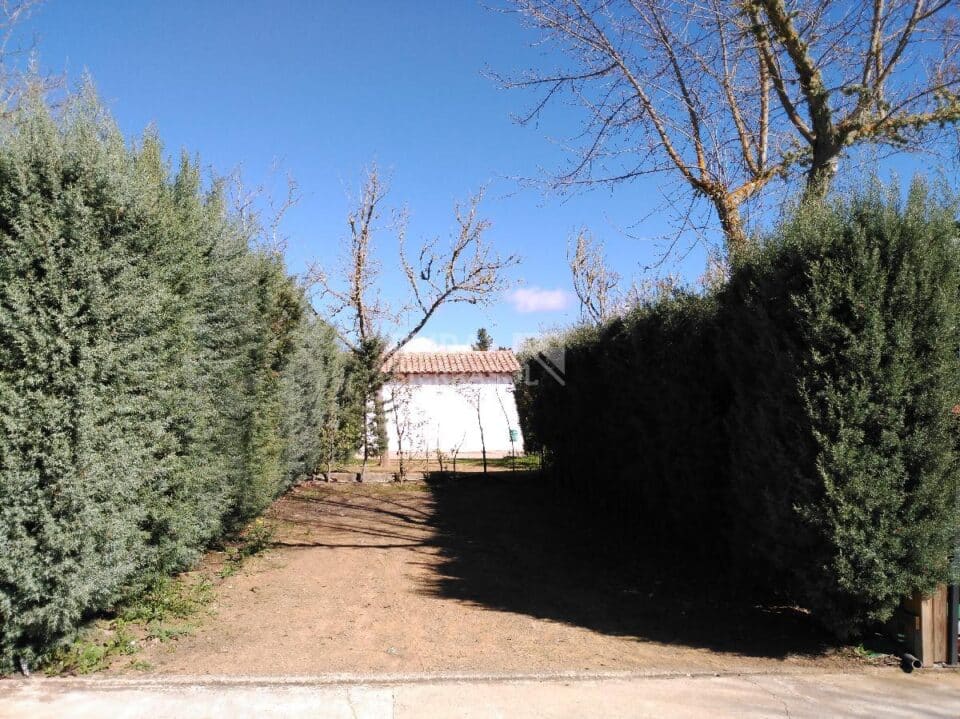 Bungalow Puentenuevo - Imagen 29