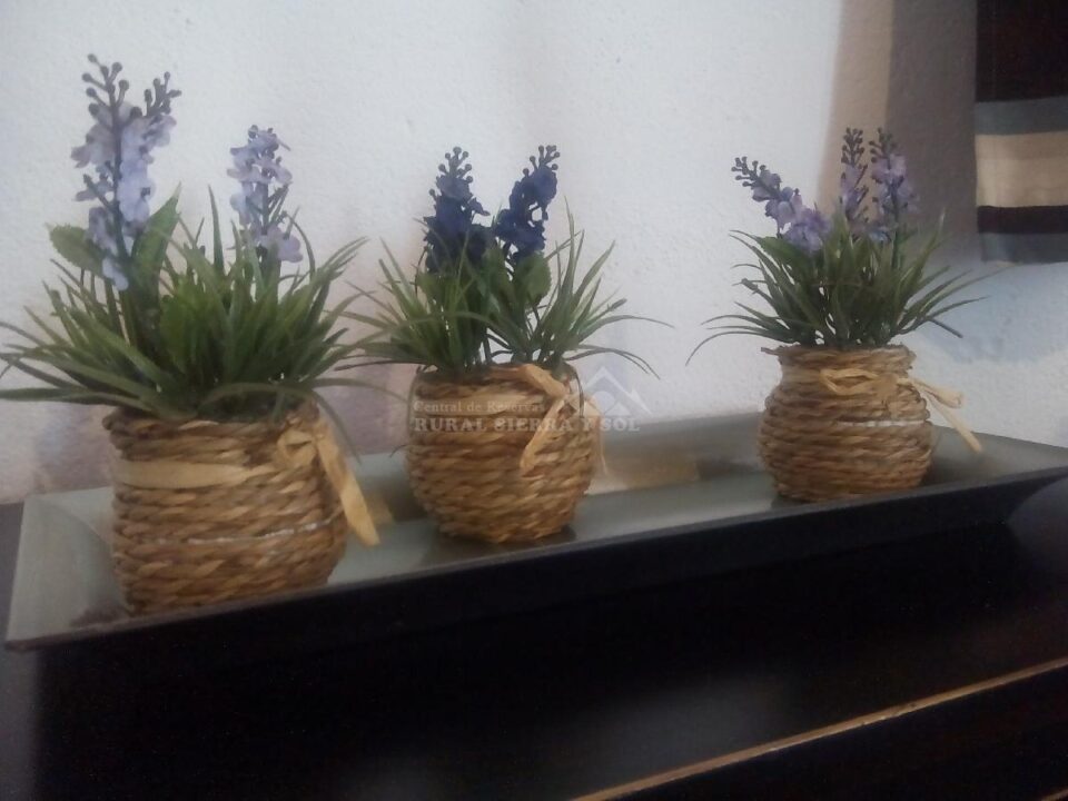Conjunto Rural en plena Sierra de San Pedro - Imagen 8