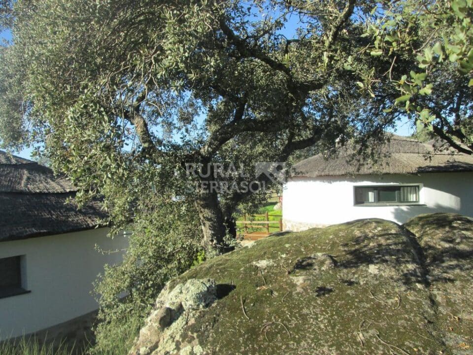 Conjunto Rural en plena Sierra de San Pedro - Imagen 42