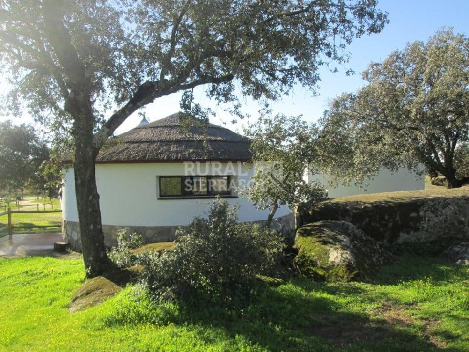 Conjunto Rural en plena Sierra de San Pedro - Imagen 43