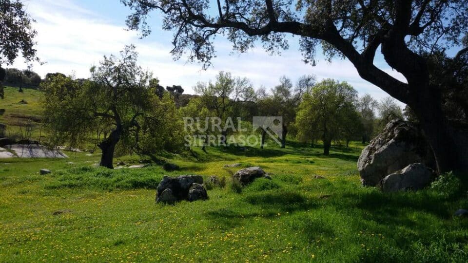 Majestuosa Casa Rural de alquiler por habitaciones, en un Castillo del siglo XVI - Imagen 37