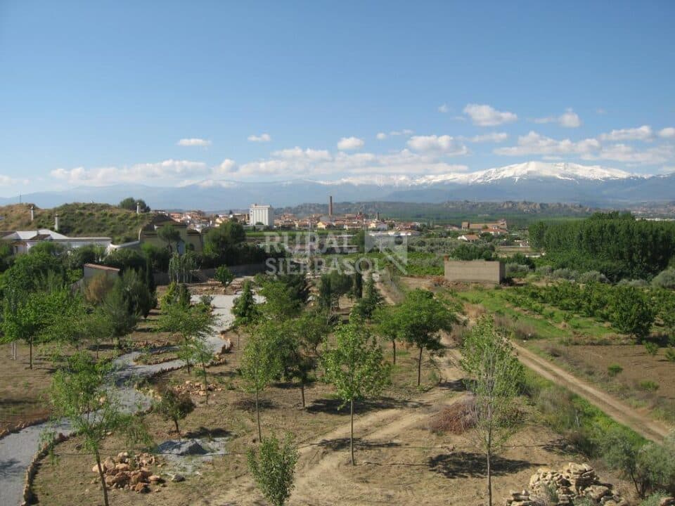 Espléndida cueva en Benalua, con chimenea, barbacoa y wifi - Imagen 43