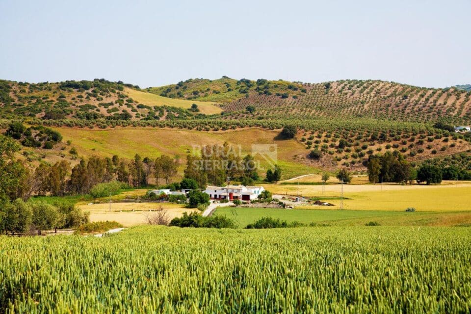 Centenaria Casa Rural en plena naturaleza, con piscina, chimenea y barbacoa - Imagen 3