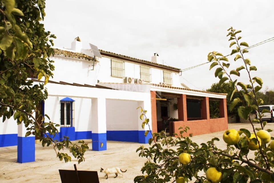 Centenaria Casa Rural en plena naturaleza, con piscina, chimenea y barbacoa - Imagen 4