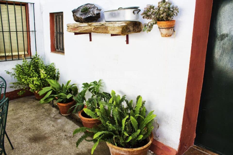 Centenaria Casa Rural en plena naturaleza, con piscina, chimenea y barbacoa - Imagen 56