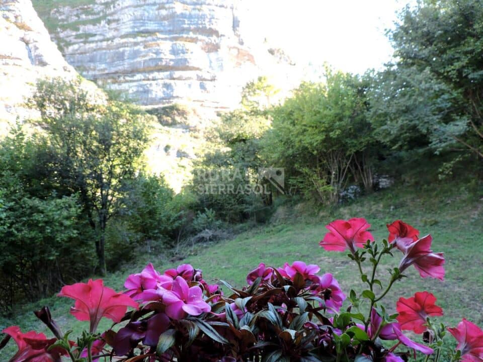 Bonita Cabaña en los Valles Pasiegos - Imagen 6