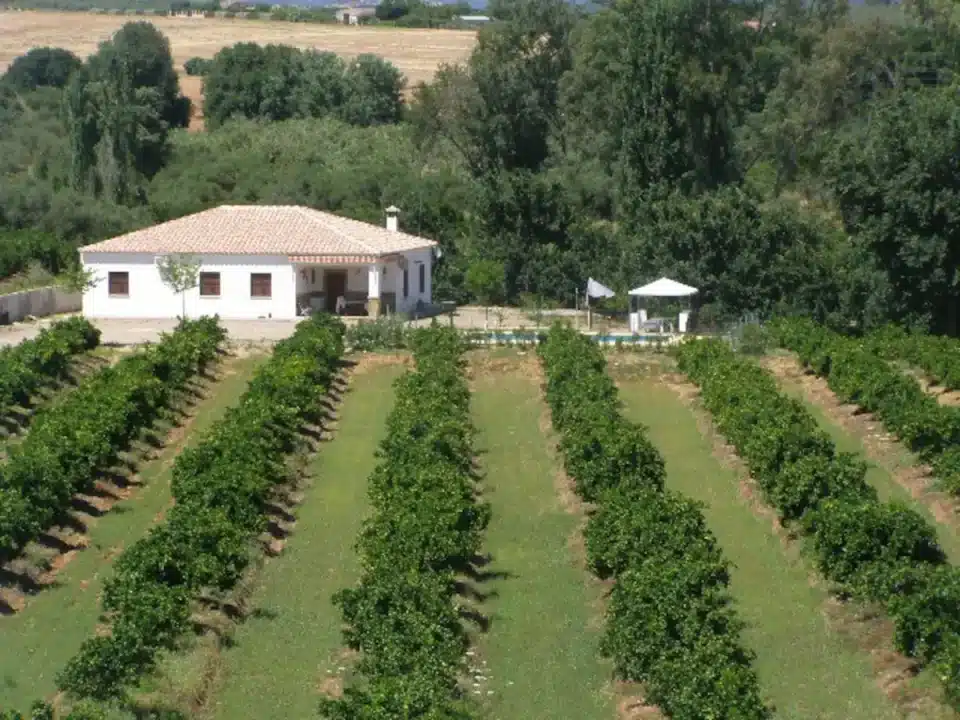 Maravillosa Casa Rural en Posadas, con piscina, aire acondicionado y barbacoa - Imagen 5