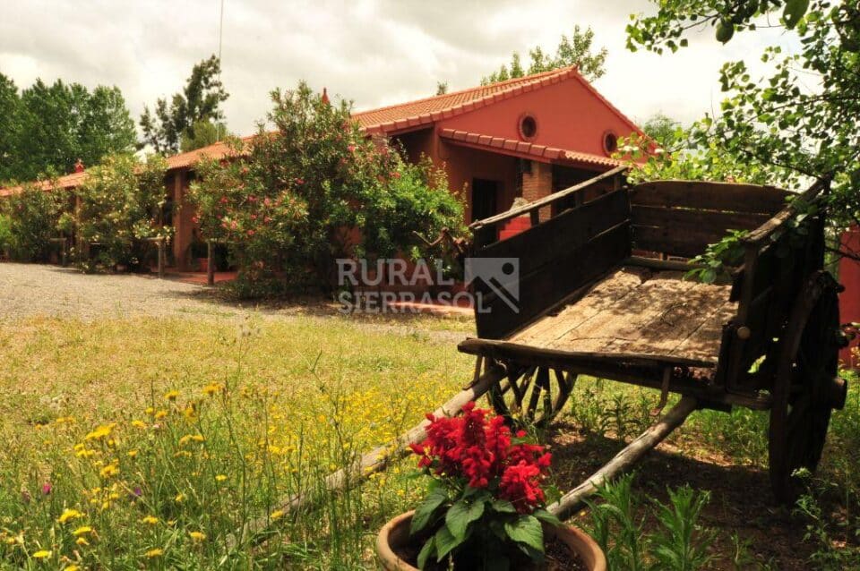 Acogedora Casa Rural en Zalamea La Real, con piscina y pista de pádel - Imagen 23