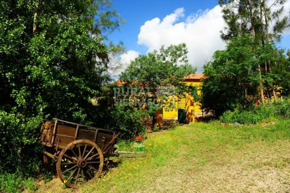 Acogedora Casa Rural en Zalamea La Real, con piscina y pista de pádel - Imagen 24