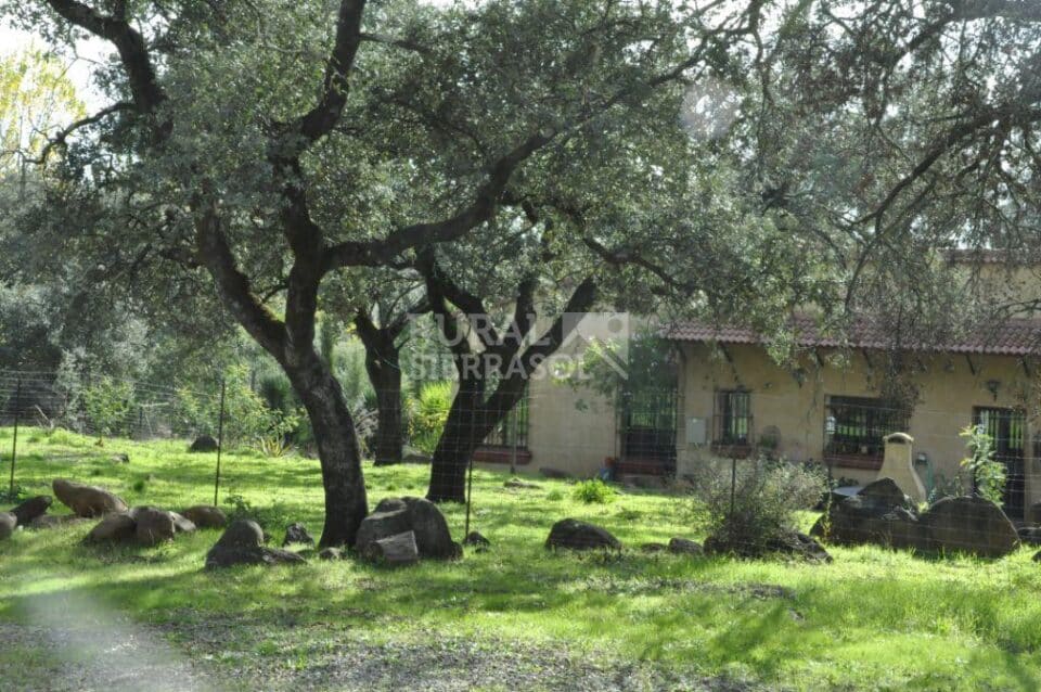 Confortable Casa Rural con piscina, pista de pádel y aire acondicionado en la Sierra de Aracena - Imagen 51