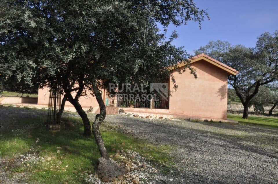 Confortable Casa Rural con piscina, pista de pádel y aire acondicionado en la Sierra de Aracena - Imagen 52