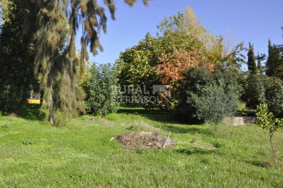 Confortable Casa Rural con piscina, pista de pádel y aire acondicionado en la Sierra de Aracena - Imagen 60