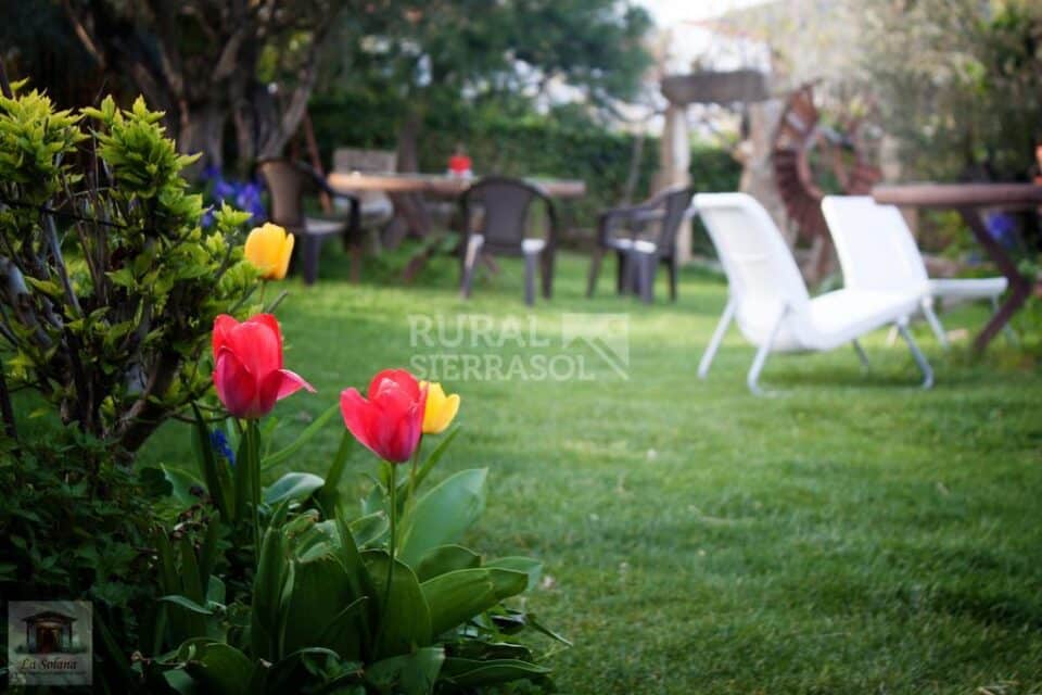 Elegante Apartamento Rural con amplio jardín, en Malpartida de Plasencia - Imagen 60