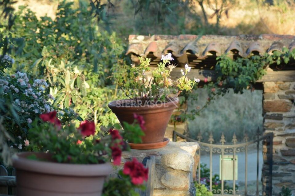 Acogedora Casa Rural en plena Naturaleza, con amplio jardín - Imagen 42