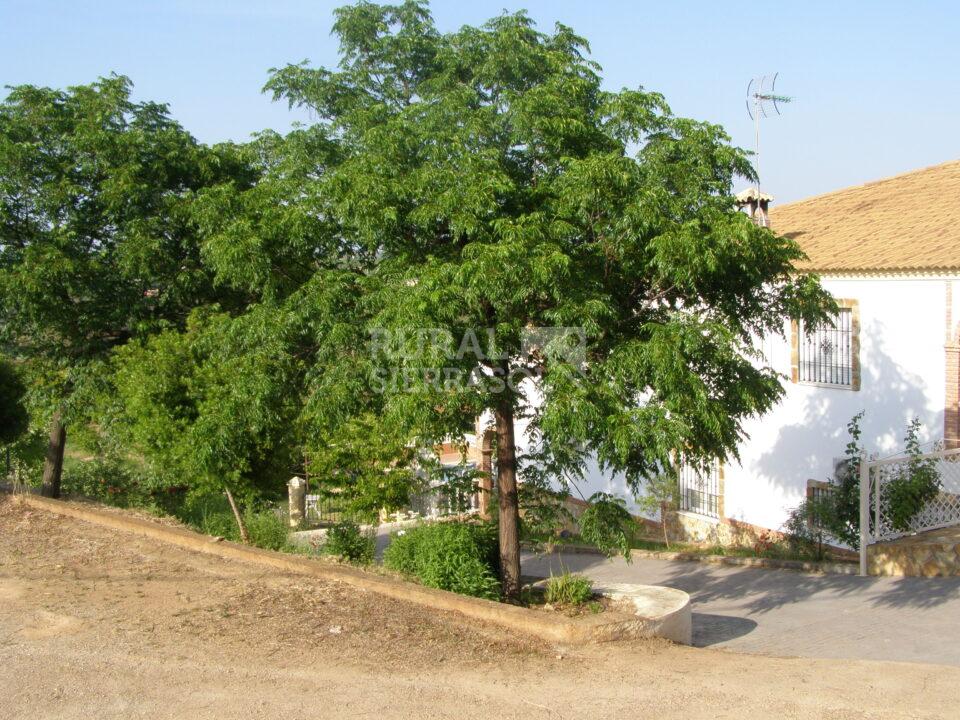 Espléndida Casa Rural en Posadas, con piscina, barbacoa y chimenea - Imagen 45
