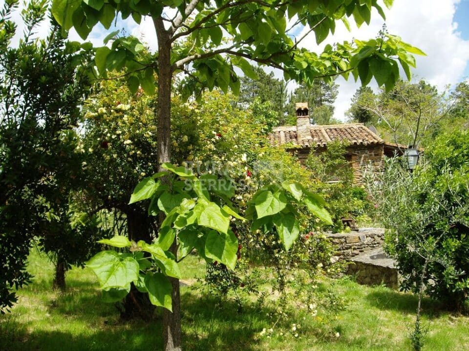Estupenda Casa Rural en Valencia de Alcántara, con piscina y wifi - Imagen 46