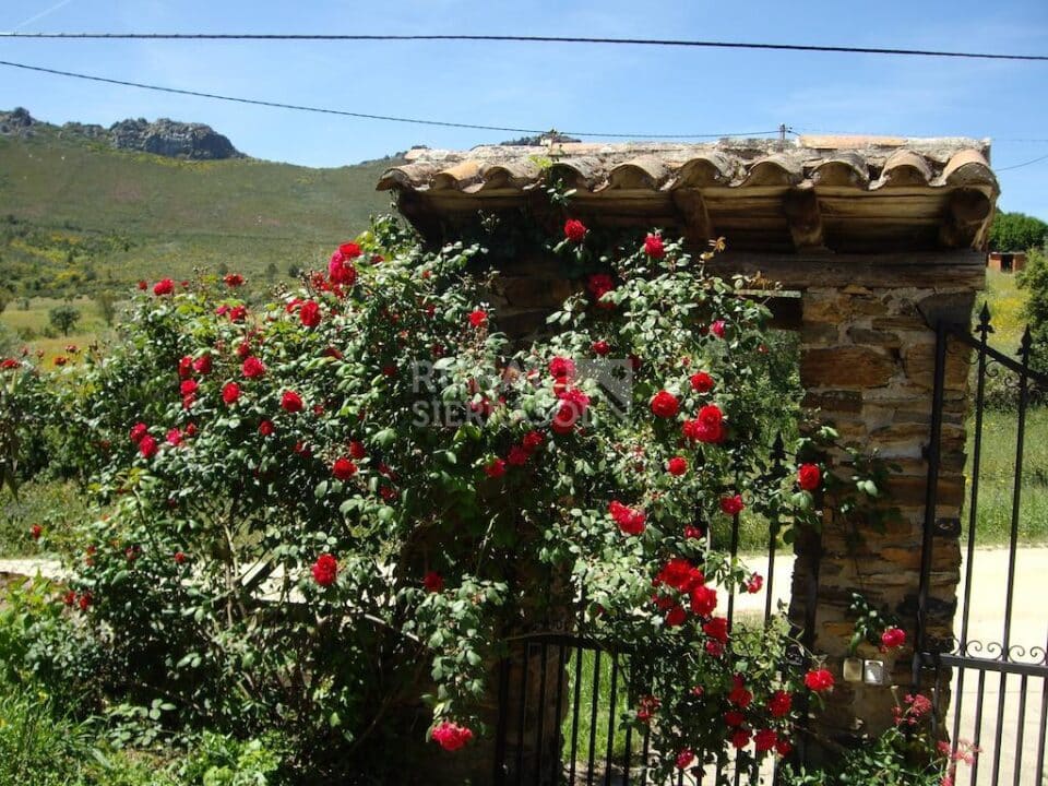 Estupenda Casa Rural en Valencia de Alcántara, con piscina y wifi - Imagen 47