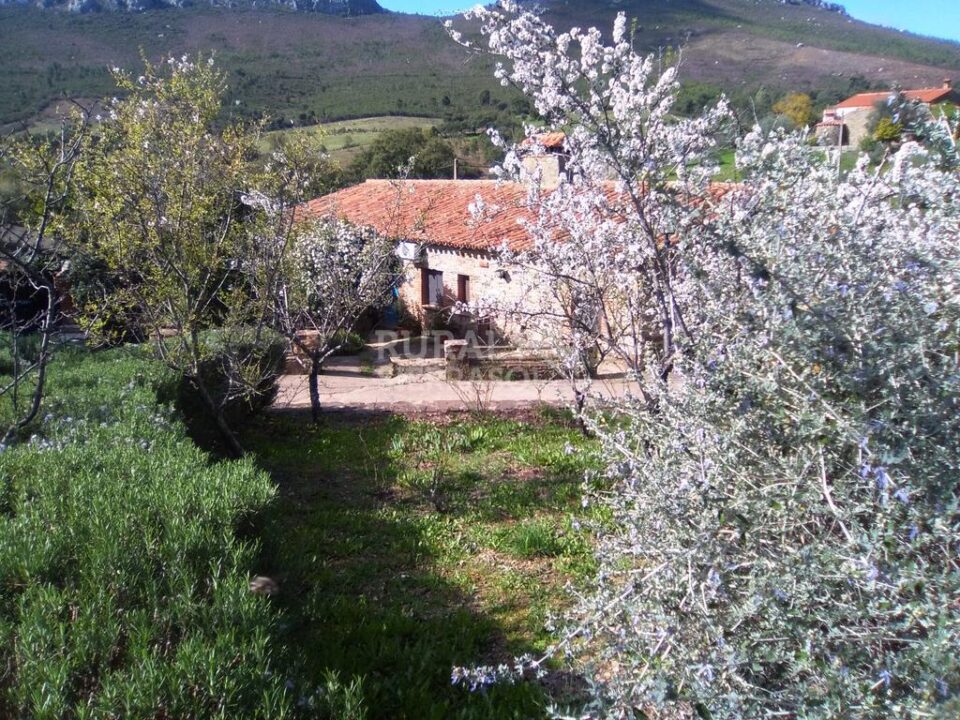Conjunto Rural en plena naturaleza, con piscina y aire acondicionado - Imagen 50