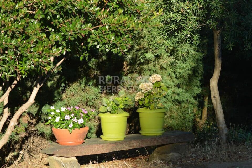 Acogedora Casa Rural en plena Naturaleza, con amplio jardín - Imagen 52