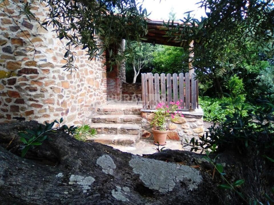 Estupenda Casa Rural en Valencia de Alcántara, con piscina y wifi - Imagen 55