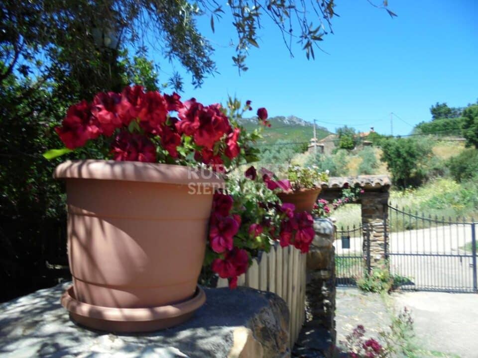 Estupenda Casa Rural en Valencia de Alcántara, con piscina y wifi - Imagen 57