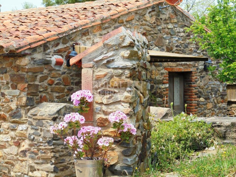 Estupenda Casa Rural en Valencia de Alcántara, con piscina y wifi - Imagen 64