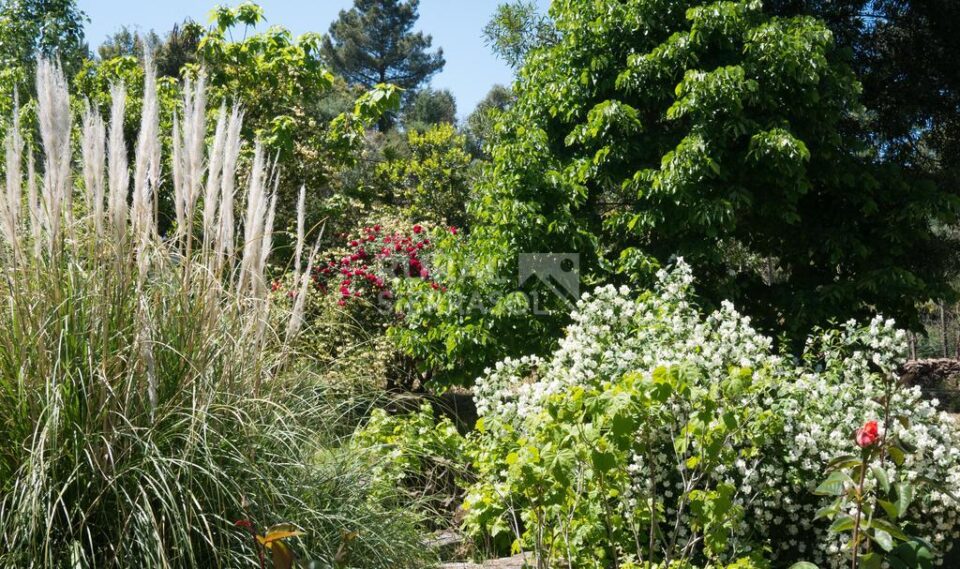 Acogedora Casa Rural en plena Naturaleza, con amplio jardín - Imagen 65