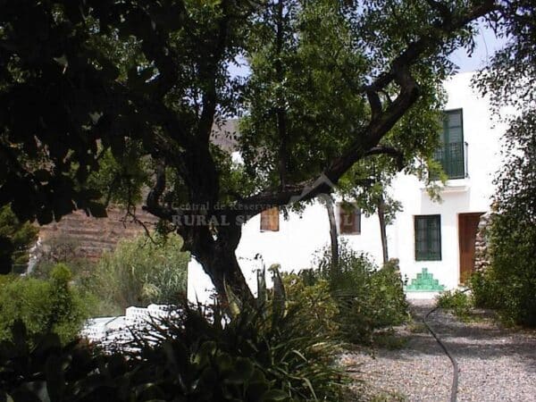 Casa rural en Níjar (Almería)-685