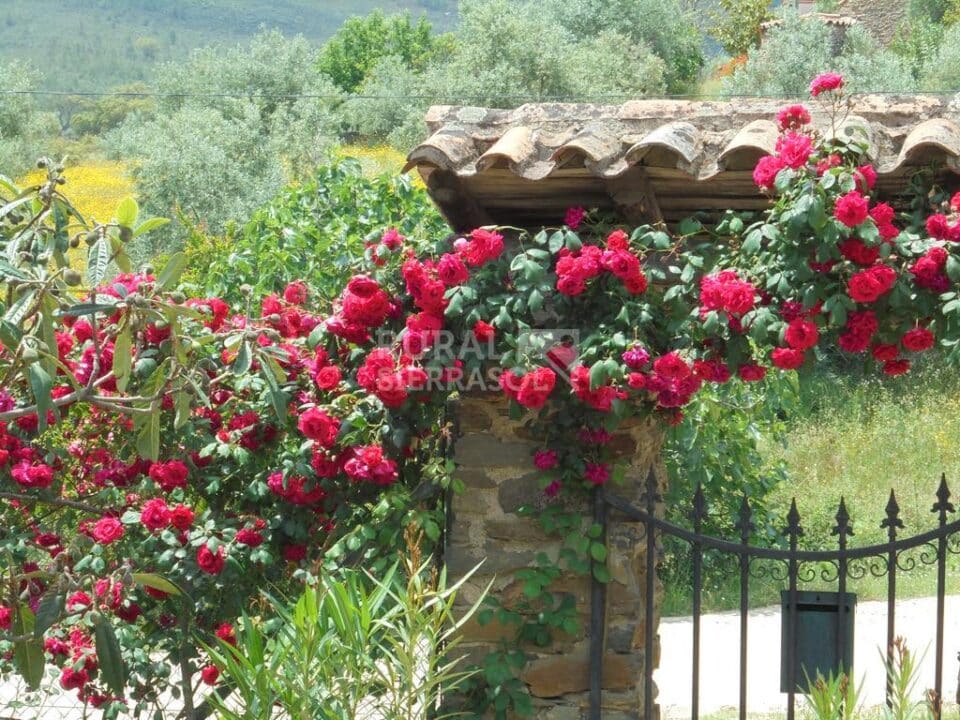 Preciosa Casa Rural en Valencia de Alcántara, con piscina aire acondicionado y wifi - Imagen 69