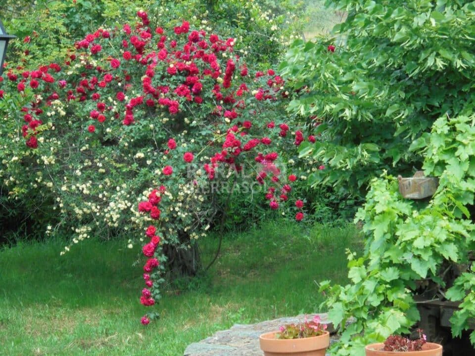 Acogedora Casa Rural en plena Naturaleza, con amplio jardín - Imagen 69