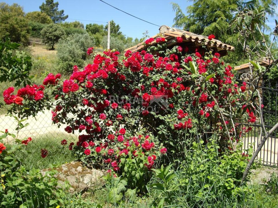Estupenda Casa Rural en Valencia de Alcántara, con piscina y wifi - Imagen 72