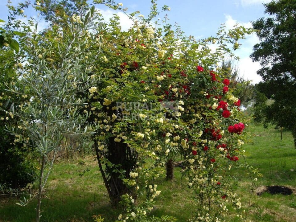 Acogedora Casa Rural en plena Naturaleza, con amplio jardín - Imagen 73