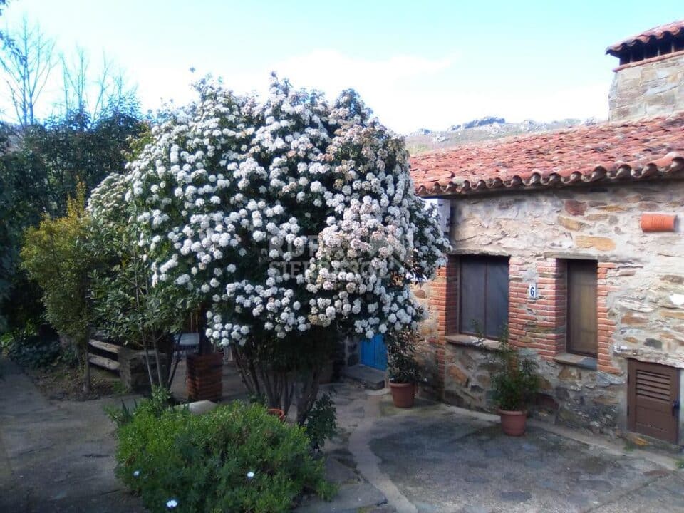 Magnífica Casa Rural en Valencia de Alcántara, con piscina y barbacoa - Imagen 74