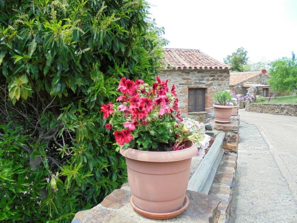 Magnífica Casa Rural en Valencia de Alcántara, con piscina y barbacoa - Imagen 75
