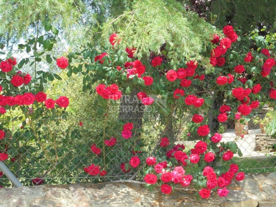 Estupenda Casa Rural en Valencia de Alcántara, con piscina y wifi - Imagen 75