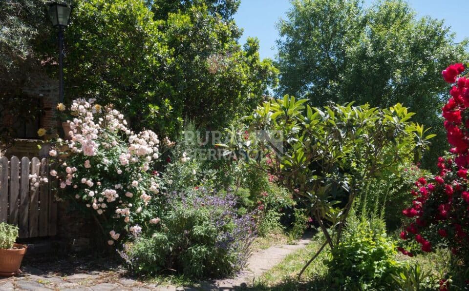 Preciosa Casa Rural en Valencia de Alcántara, con piscina aire acondicionado y wifi - Imagen 76