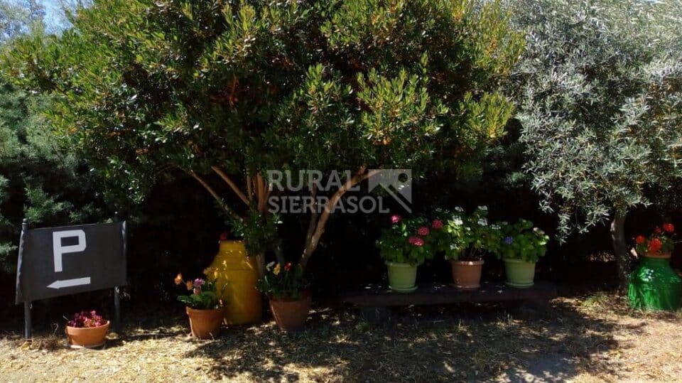 Estupenda Casa Rural en Valencia de Alcántara, con piscina y wifi - Imagen 76