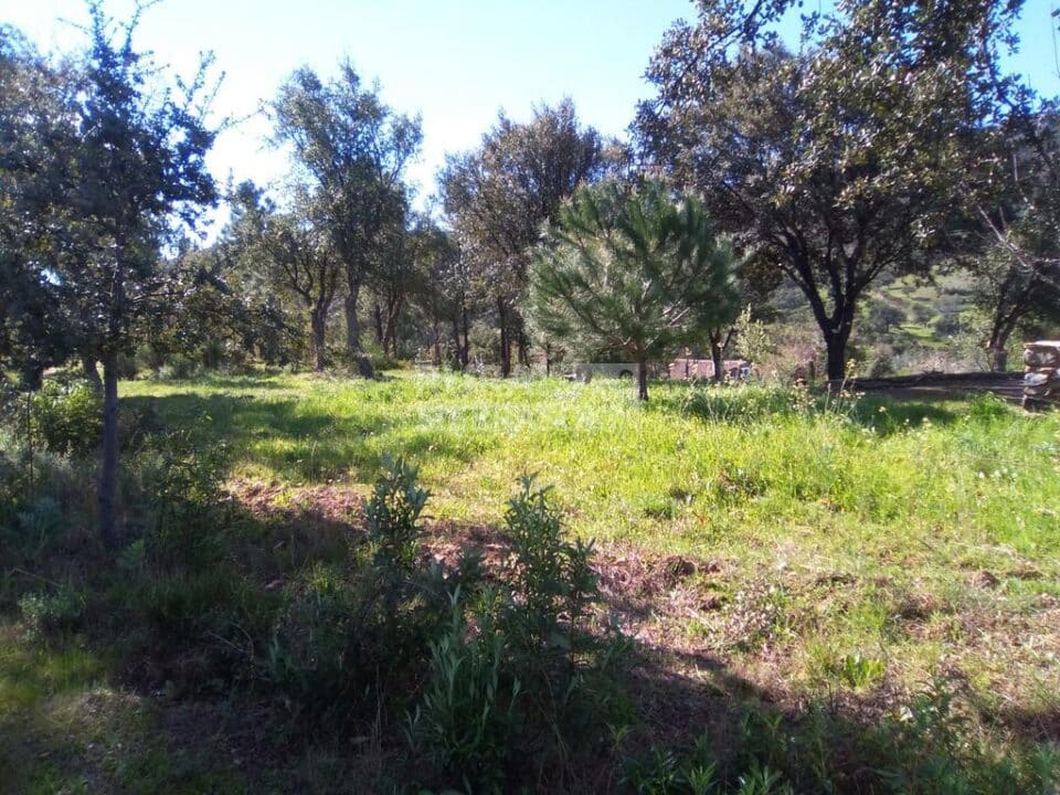 Fantástica Casa Rural en Valencia de Alcántara, con piscina y aire acondicionado - Imagen 77