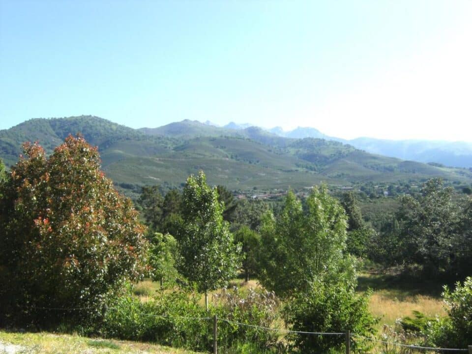 Las Atalayas - Imagen 4