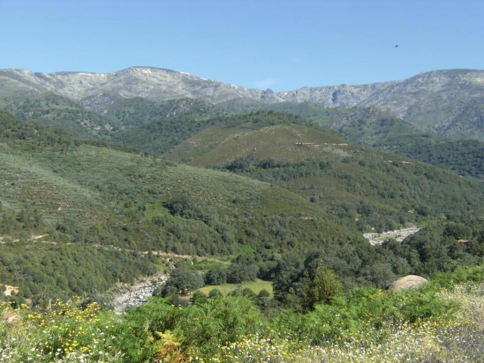 Las Atalayas - Imagen 5