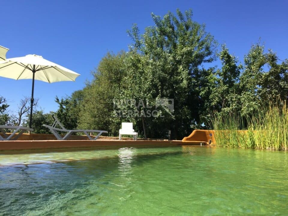 Maravilloso Alojamiento Rural en Pitres, con piscina y wifi - Imagen 36