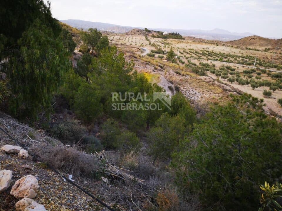 Amplio Alojamiento Rural en Taberno, con piscina, barbacoa y pista de pádel - Imagen 88