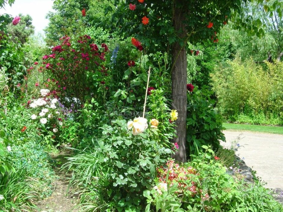Alojamiento Rural en Pitres, con piscina y wifi - Imagen 30