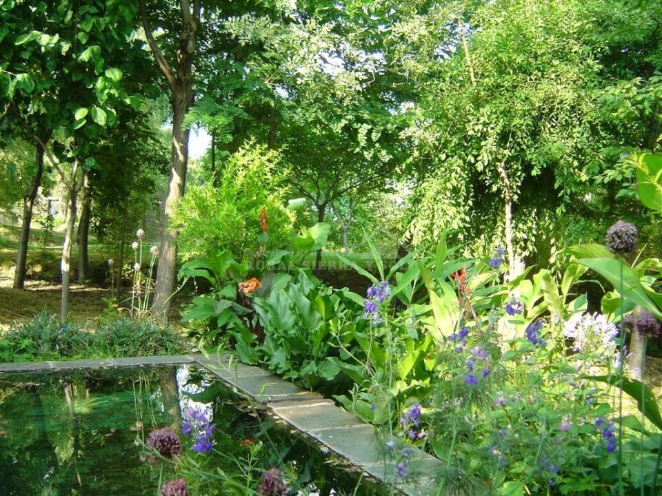 Alojamiento Rural en Pitres, con piscina y wifi - Imagen 32