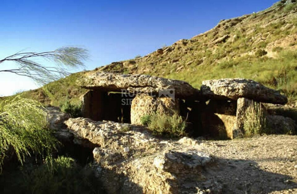 Acogedora Cueva tipo estudio en La Calahorra, con chimenea y piscina - Imagen 31