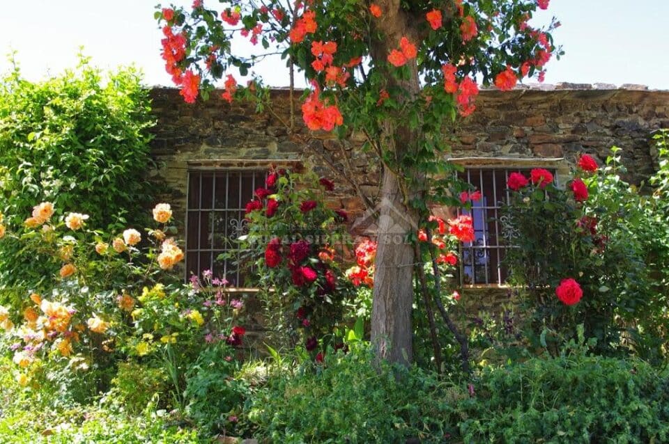 Espléndido Alojamiento Rural en Pitres, con calefacción, chimenea y wifi - Imagen 40