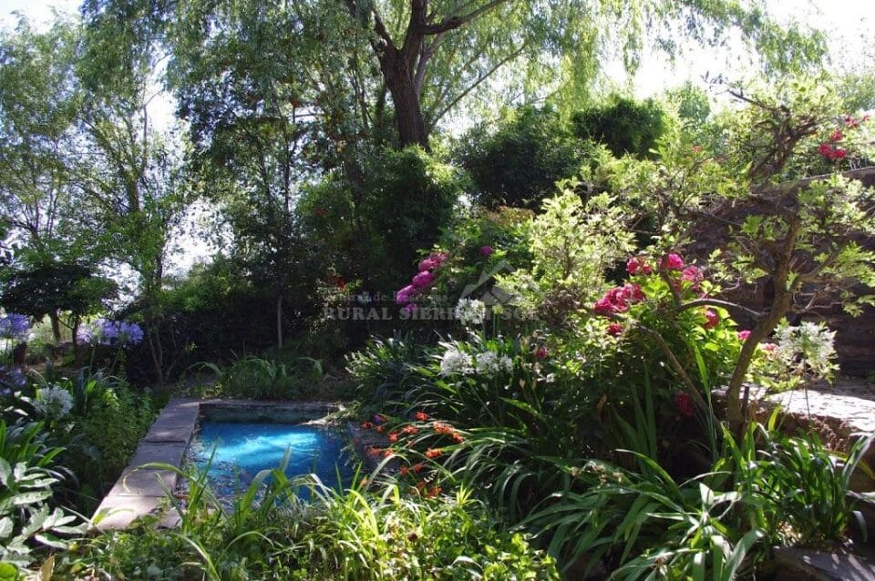Maravilloso Estudio en Pitres, con piscina y wifi - Imagen 44